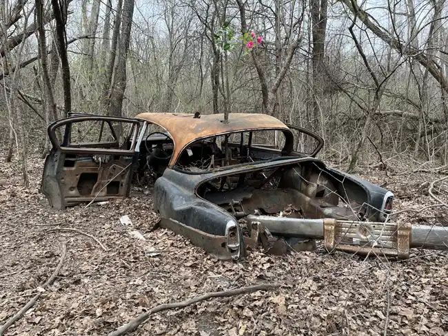 An abandoned old car deep inside Maybury State Park.